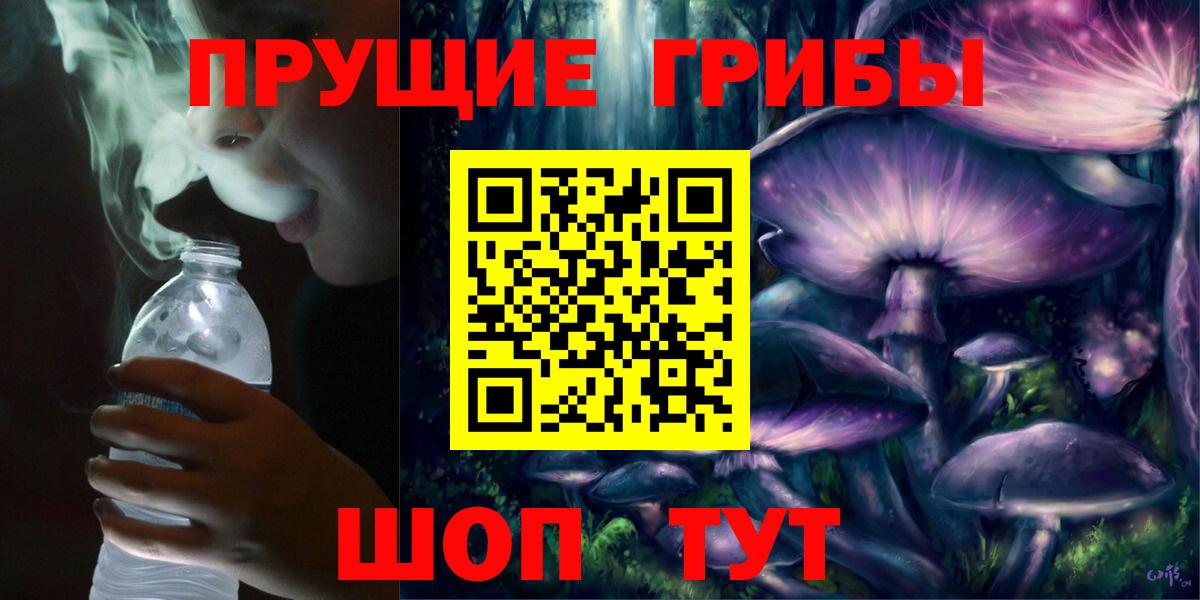 Псилоцибиновые грибы мухоморы Сокол