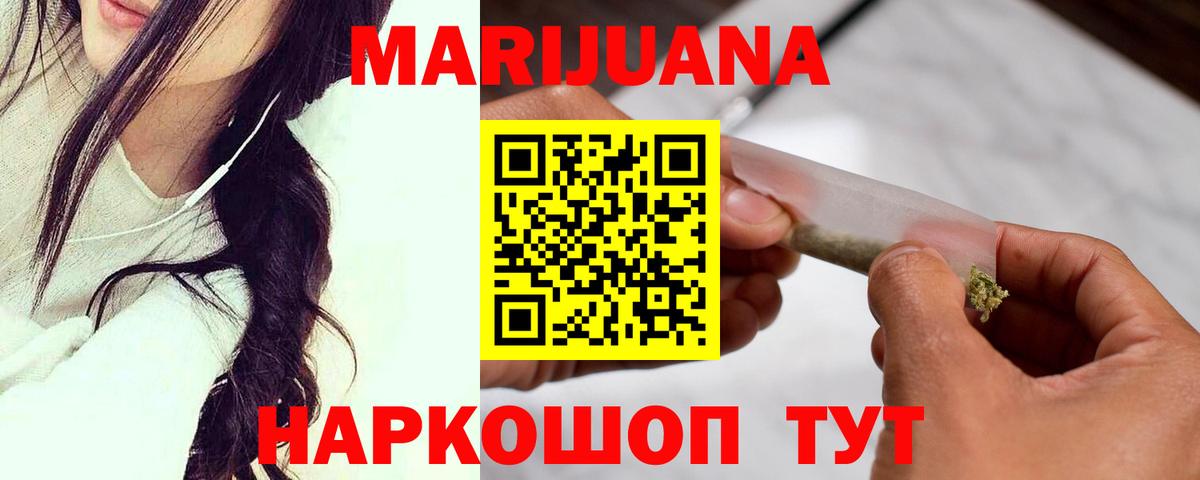 МАРИХУАНА сатива Сокол